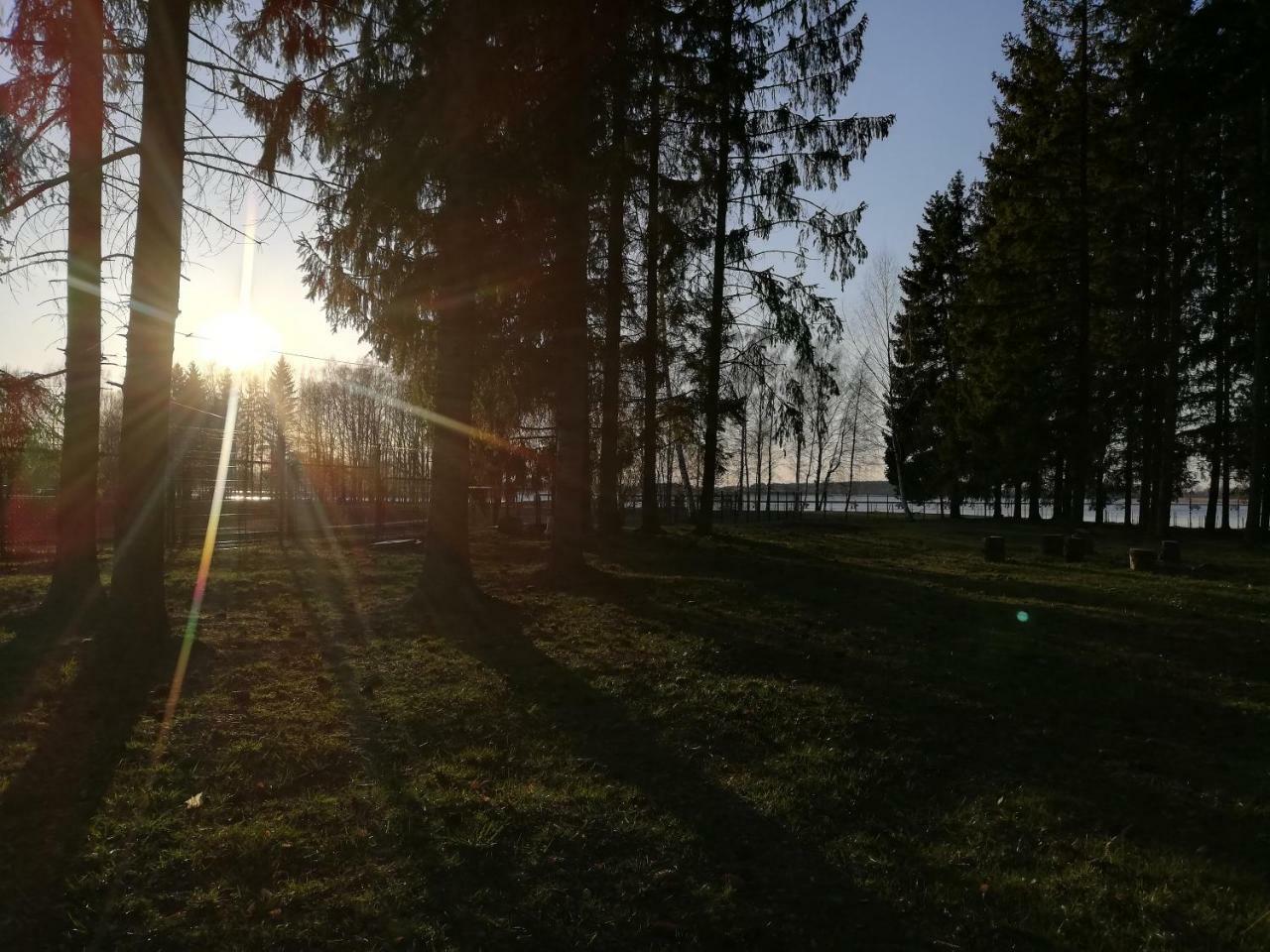 Birzai Camping Esterno foto